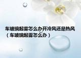 車玻璃起霧怎么辦開冷風(fēng)還是熱風(fēng)（車玻璃起霧怎么辦）