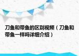 刀魚和帶魚的區(qū)別視頻（刀魚和帶魚一樣嗎詳細(xì)介紹）