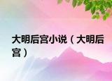 大明后宮小說（大明后宮）