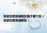安徽合肥濱湖新區(qū)屬于哪個(gè)區(qū)（安徽合肥濱湖新區(qū)）