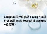 assignee是什么意思（assignee是什么意思 assignee的音標 assignee的用法）