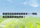 管道帶壓封堵維搶修技術(shù)（一種抗高壓管道快速搶修器）