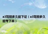 a3駕照多久能下證（a3駕照多久能考下來(lái)）