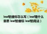leaf的音標(biāo)怎么寫（leaf是什么意思 leaf的音標(biāo) leaf的用法）