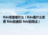 fido發(fā)音是什么（fido是什么意思 fido的音標(biāo) fido的用法）