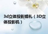 3d立體投影婚禮（3D立體投影機）