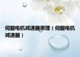 伺服電機減速器原理（伺服電機減速器）