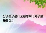分子量子是什么意思?。ǚ肿恿渴鞘裁矗? /></span></a>
                        <h2><a href=