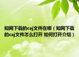知網下載的caj文件在哪（知網下載的caj文件怎么打開 如何打開介紹）