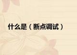 什么是（斷點(diǎn)調(diào)試）