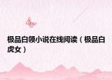 極品白領(lǐng)小說(shuō)在線閱讀（極品白虎女）