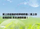 愛上你是我的錯原唱歌曲（愛上你是我的錯 常志演唱歌曲）