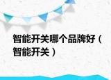 智能開關(guān)哪個品牌好（智能開關(guān)）