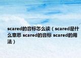 scared的音標怎么讀（scared是什么意思 scared的音標 scared的用法）