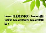 breast什么意思中文（breast是什么意思 breast的音標(biāo) breast的用法）