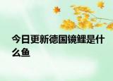 今日更新德國鏡鯉是什么魚