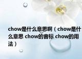 chow是什么意思?。╟how是什么意思 chow的音標(biāo) chow的用法）