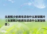 頭發(fā)稀少的男生適合什么發(fā)型圖片（頭發(fā)稀少的男生適合什么發(fā)型優(yōu)質(zhì)）