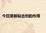 今日更新粘合劑的作用