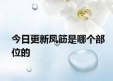 今日更新鳳筋是哪個(gè)部位的