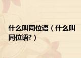 什么叫同位語（什么叫同位語?）
