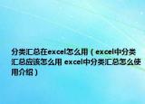 分類(lèi)匯總在excel怎么用（excel中分類(lèi)匯總應(yīng)該怎么用 excel中分類(lèi)匯總怎么使用介紹）