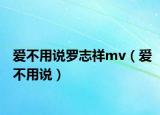 愛不用說羅志祥mv（愛不用說）