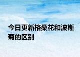 今日更新格桑花和波斯菊的區(qū)別