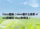 Cisco是啥（cisco是什么意思 cisco的音標(biāo) cisco的用法）