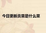 今日更新貢菜是什么菜
