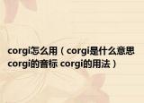 corgi怎么用（corgi是什么意思 corgi的音標 corgi的用法）
