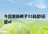 今日更新褲子31碼是l還是xl