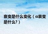 衰變是什么變化（α衰變是什么?）