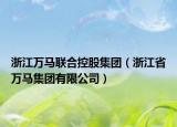 浙江萬馬聯(lián)合控股集團（浙江省萬馬集團有限公司）