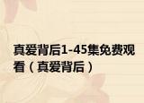 真愛(ài)背后1-45集免費(fèi)觀看（真愛(ài)背后）