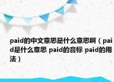 paid的中文意思是什么意思?。╬aid是什么意思 paid的音標(biāo) paid的用法）