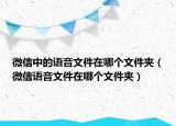 微信中的語音文件在哪個(gè)文件夾（微信語音文件在哪個(gè)文件夾）