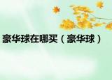 豪華球在哪買(mǎi)（豪華球）