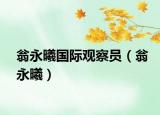 翁永曦國(guó)際觀察員（翁永曦）