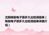 沈陽(yáng)核酸電子版多久出檢測(cè)結(jié)果（核酸電子版多久出檢測(cè)結(jié)果詳細(xì)介紹）