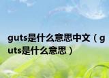 guts是什么意思中文（guts是什么意思）