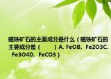 磁鐵礦石的主要成分是什么（磁鐵礦石的主要成分是（　　）A. FeOB.  Fe2O3C.  Fe3O4D.  FeCO3）