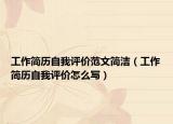 工作簡歷自我評價范文簡潔（工作簡歷自我評價怎么寫）