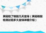 黃碼驗(yàn)了核酸幾天變綠（黃碼核酸檢測(cè)過后多久變綠詳細(xì)介紹）