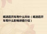 喝酒后開車有什么壞處（喝酒后開車有什么影響詳細介紹）