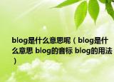 blog是什么意思呢（blog是什么意思 blog的音標 blog的用法）
