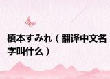 榎本すみれ（翻譯中文名字叫什么）