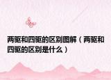 兩驅(qū)和四驅(qū)的區(qū)別圖解（兩驅(qū)和四驅(qū)的區(qū)別是什么）
