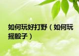 如何玩好打野（如何玩搖骰子）