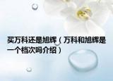 買萬(wàn)科還是旭輝（萬(wàn)科和旭輝是一個(gè)檔次嗎介紹）
